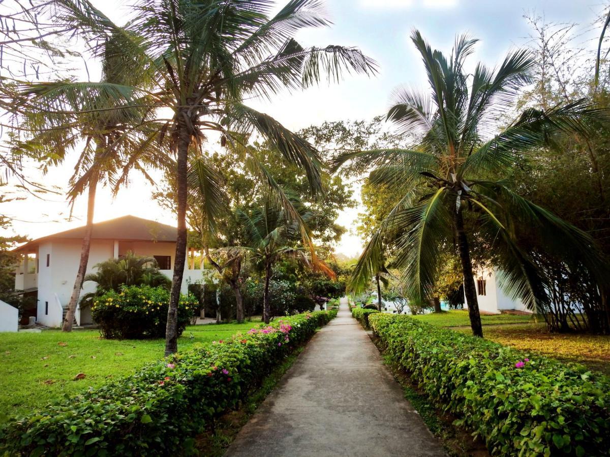 Gecko Resort Watamu Buitenkant foto